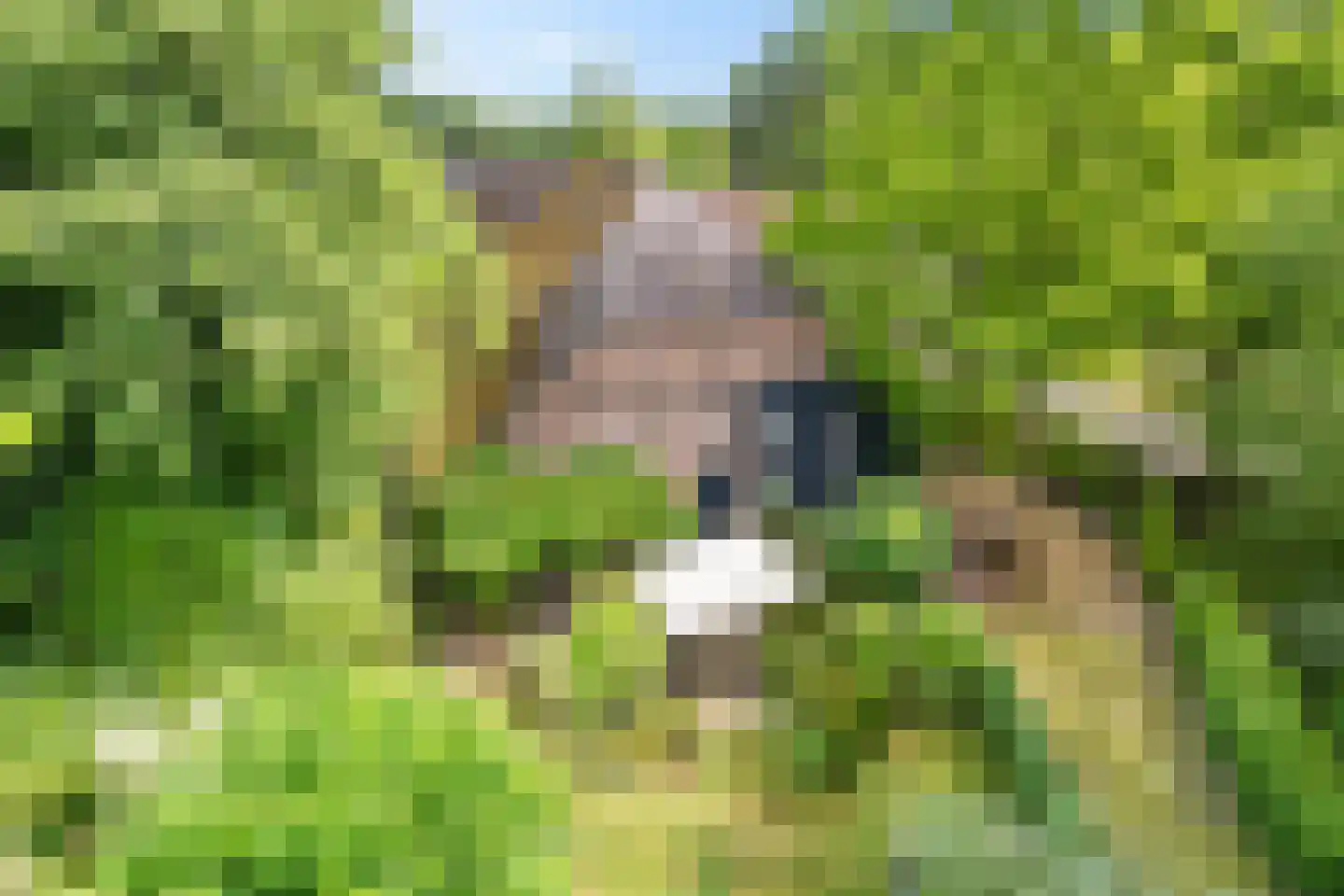 Eekhoutswijk 9 Smilde thumbnail 6