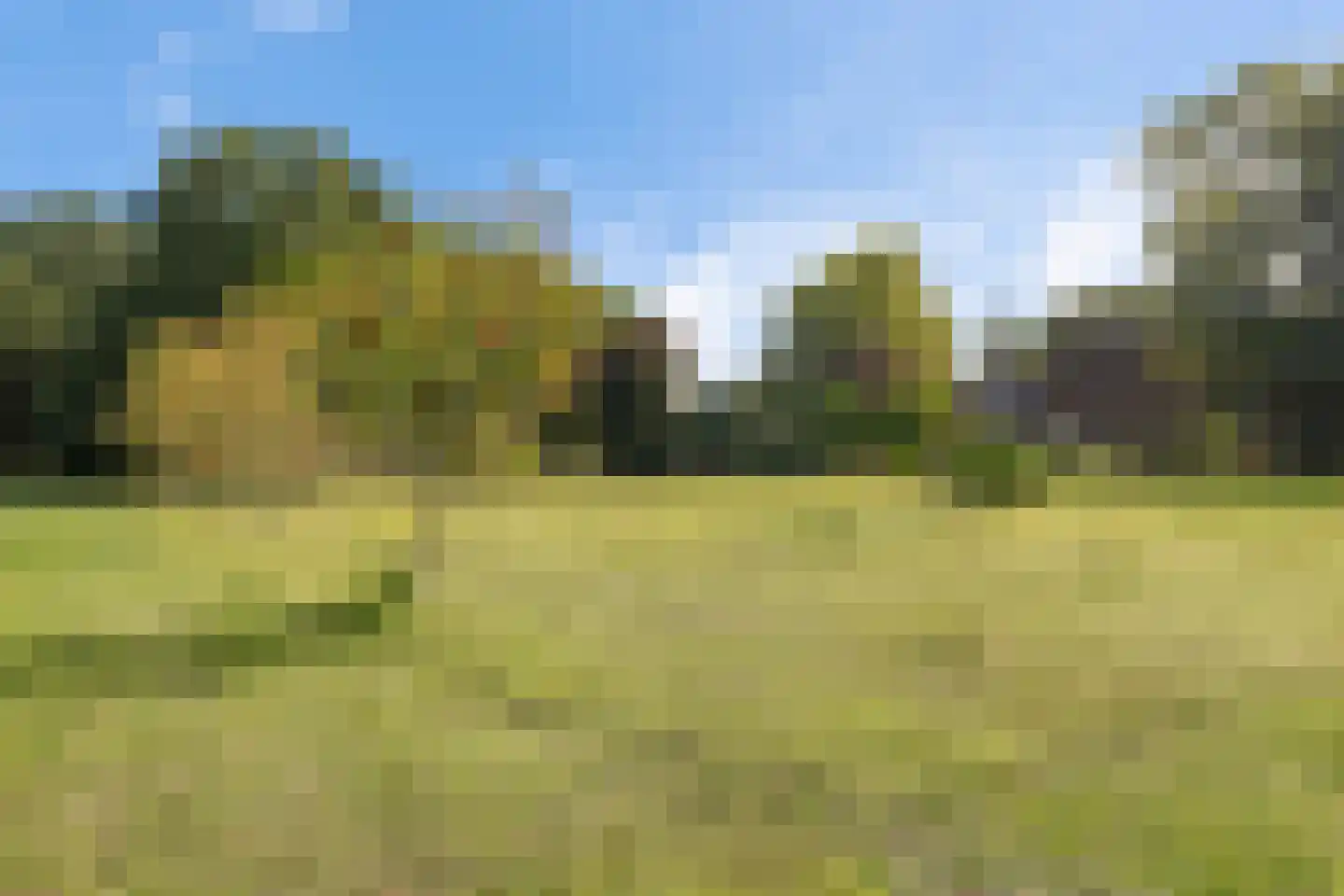 Eekhoutswijk 9 Smilde thumbnail 60