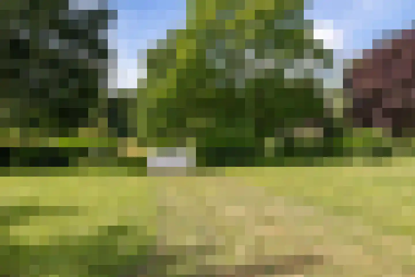 Eekhoutswijk 9 Smilde thumbnail 61