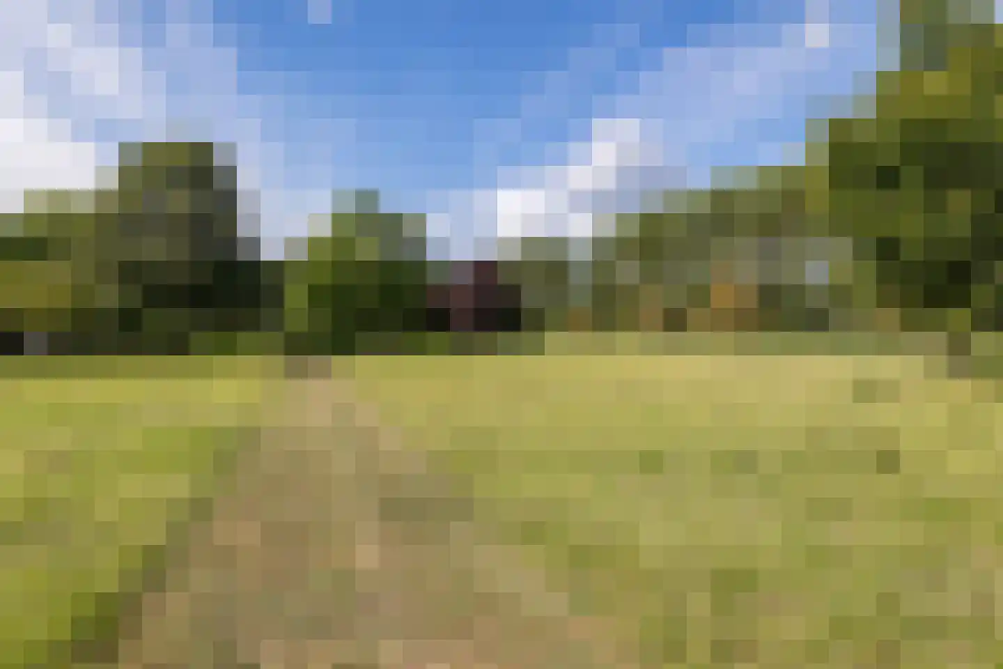Eekhoutswijk 9 Smilde thumbnail 62
