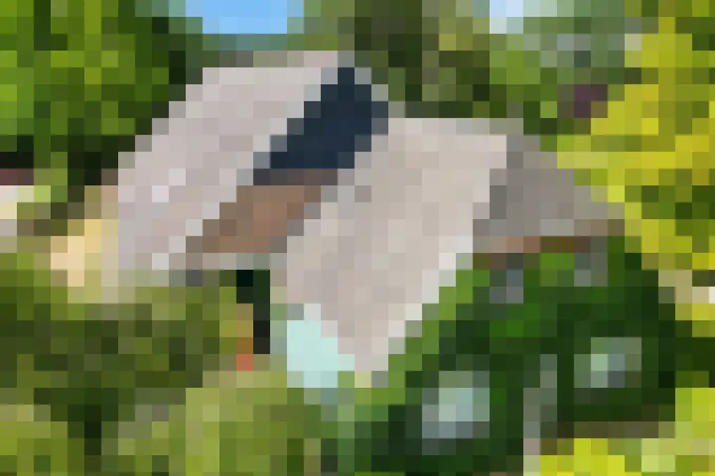 Eekhoutswijk 9 Smilde thumbnail 64