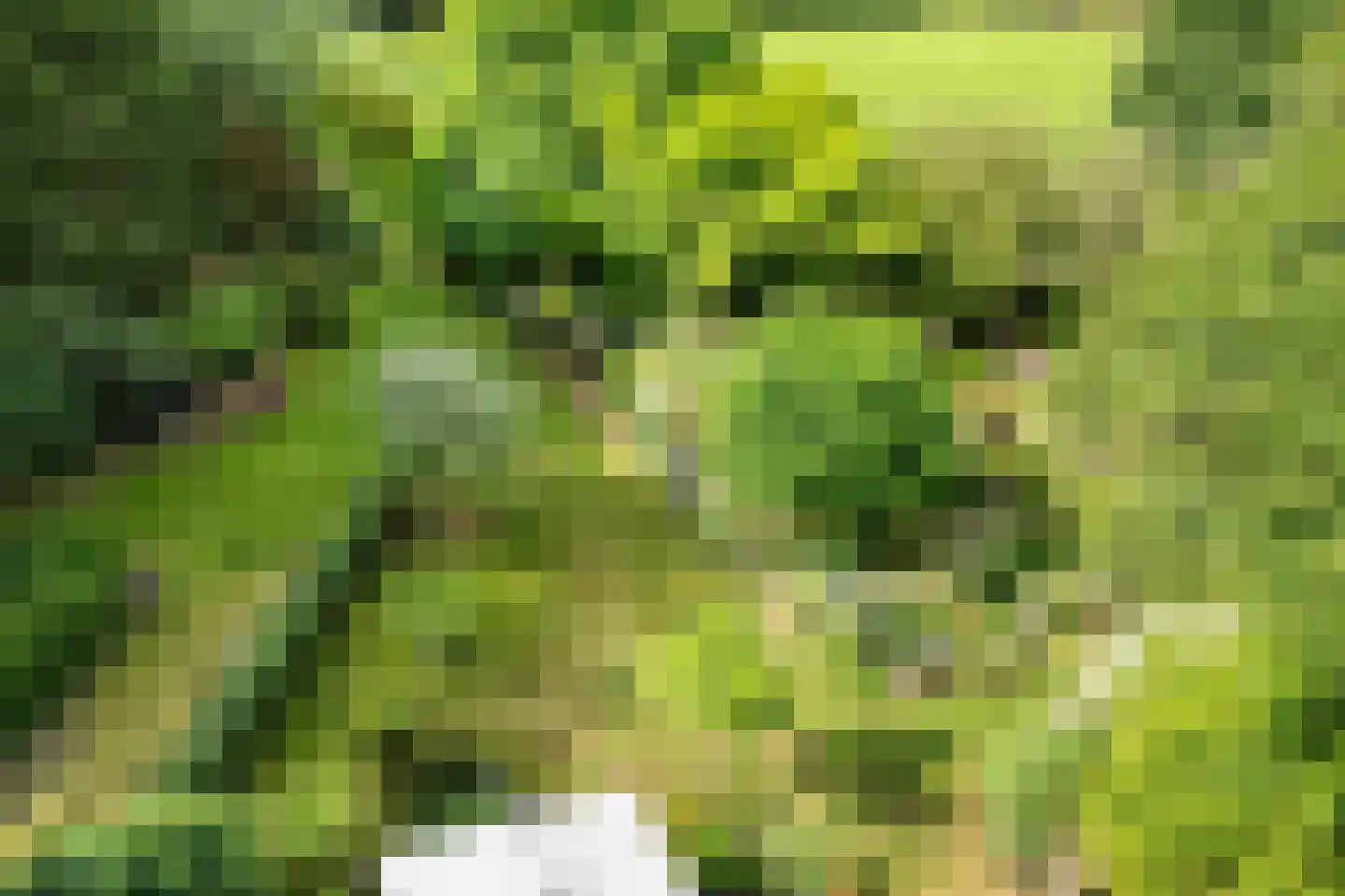 Eekhoutswijk 9 Smilde thumbnail 65