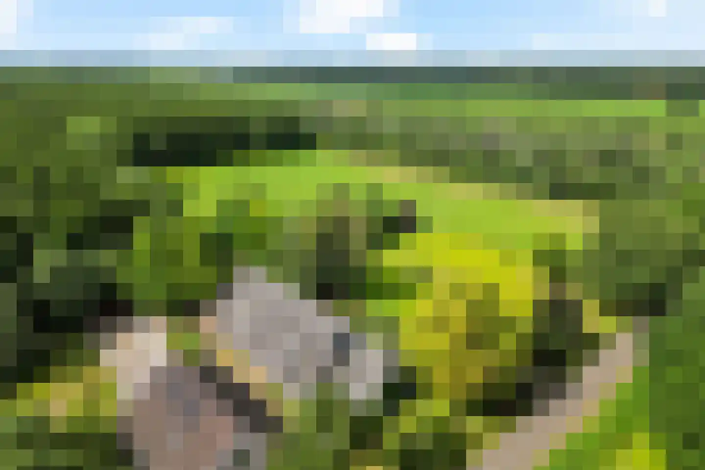 Eekhoutswijk 9 Smilde thumbnail 66