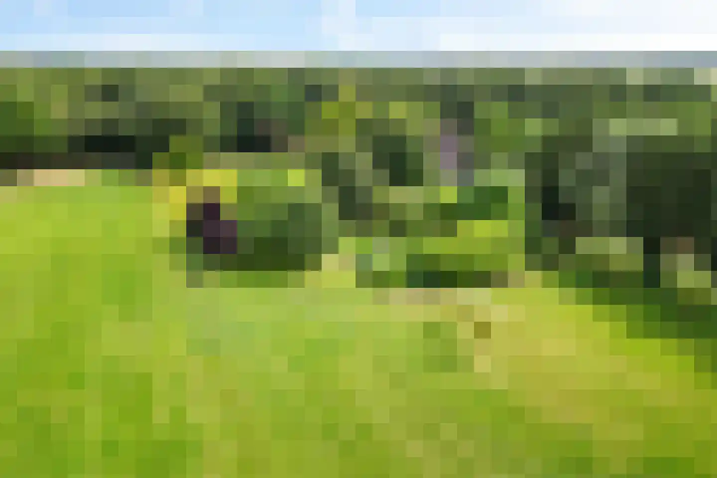 Eekhoutswijk 9 Smilde thumbnail 67