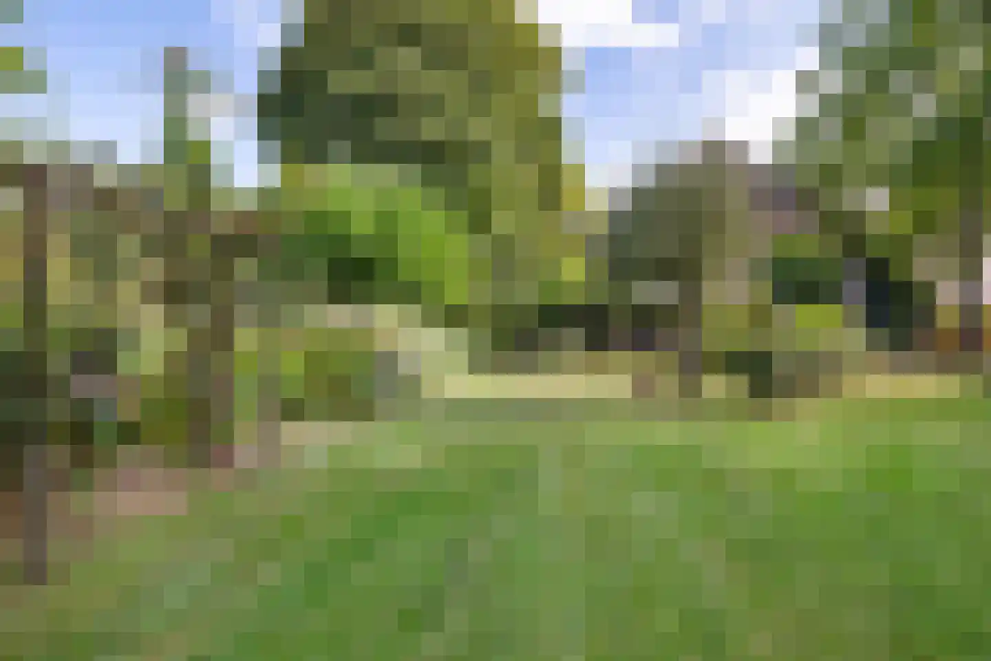 Eekhoutswijk 9 Smilde thumbnail 7
