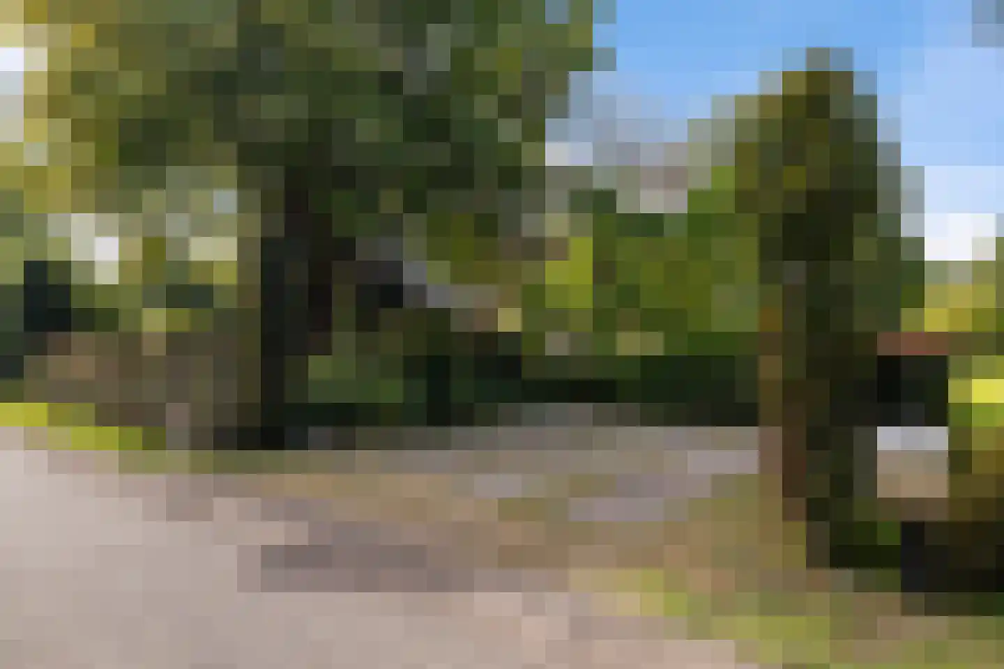 Eekhoutswijk 9 Smilde thumbnail 8