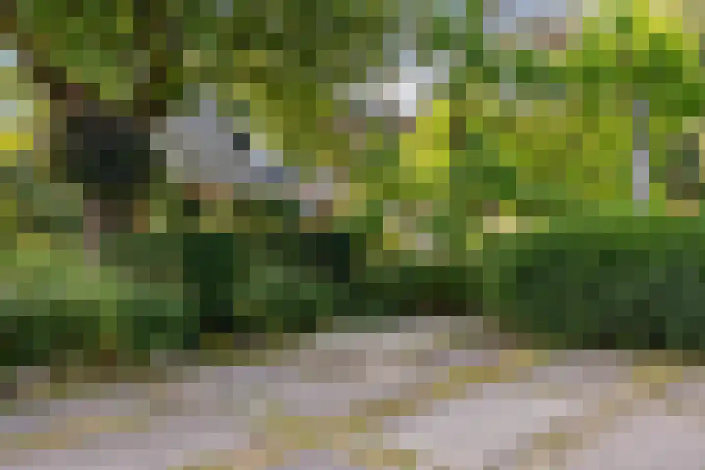 Eekhoutswijk 9 Smilde thumbnail 9