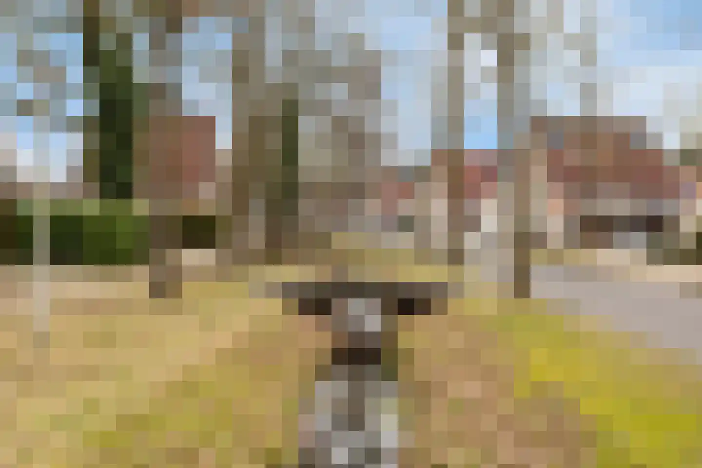 Eekmaatlaan 43 Enschede thumbnail 33