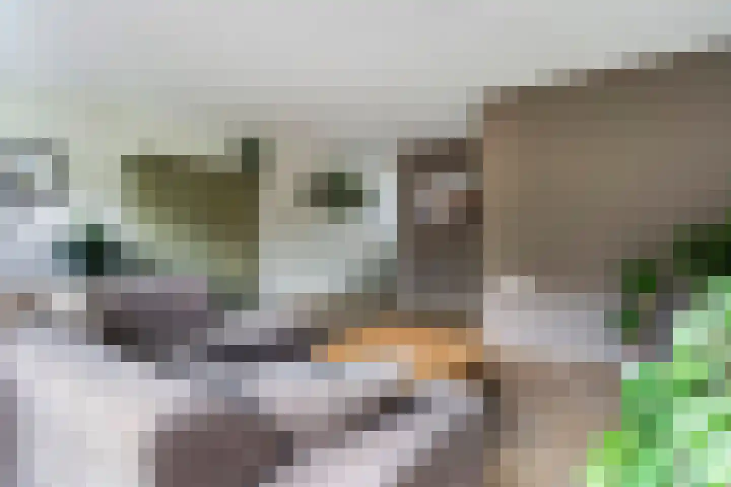 Eekmolen 26 Sneek thumbnail 11