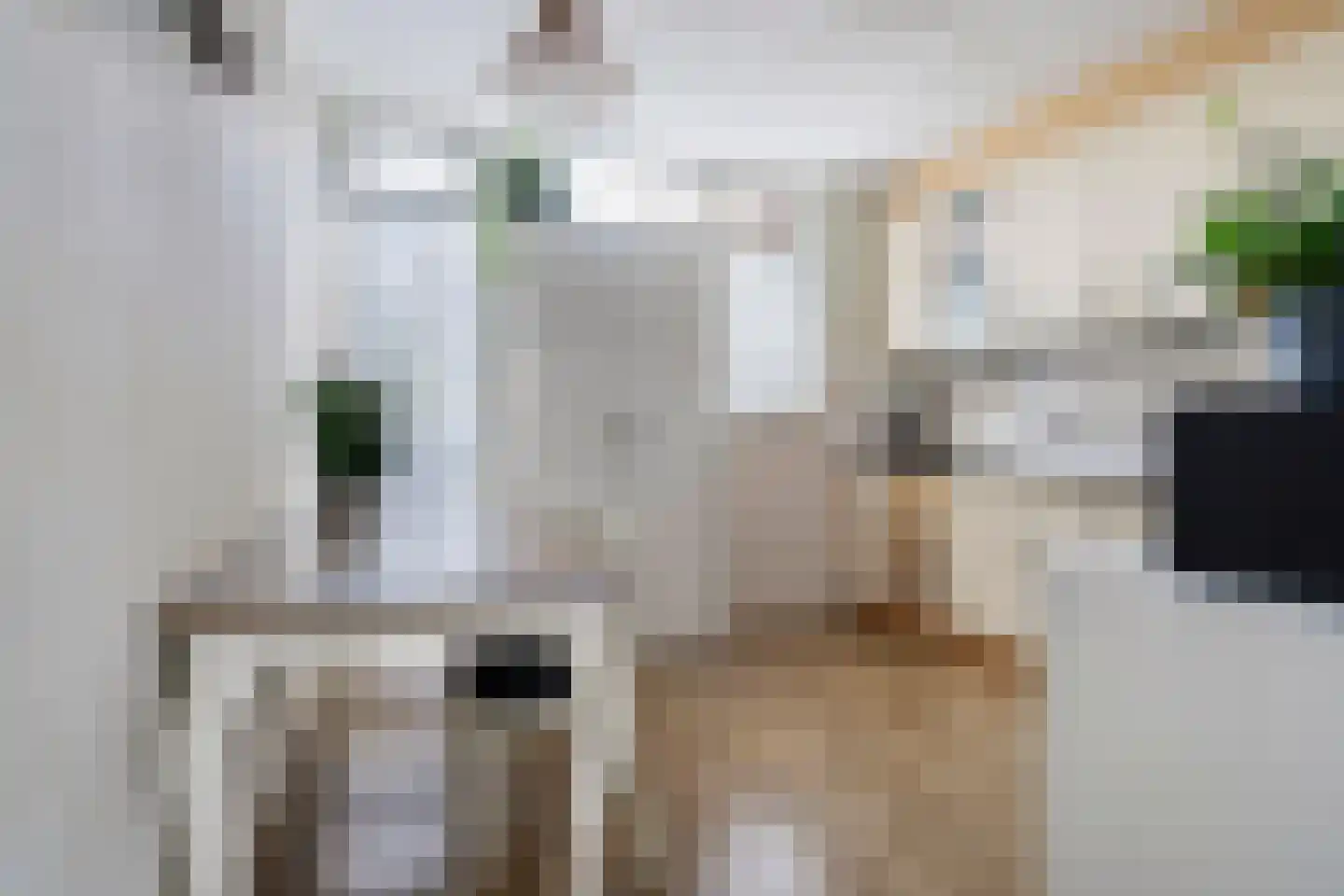 Eekmolen 26 Sneek thumbnail 14