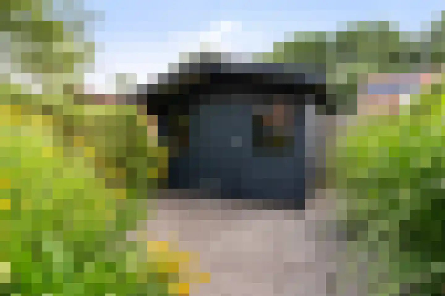 Eekmolen 26 Sneek thumbnail 36