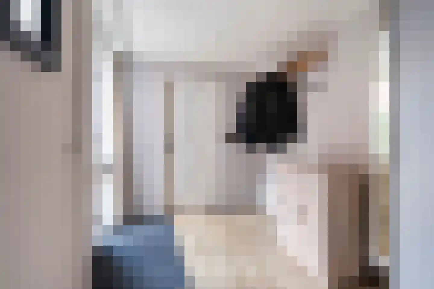 Eekmolen 26 Sneek thumbnail 6