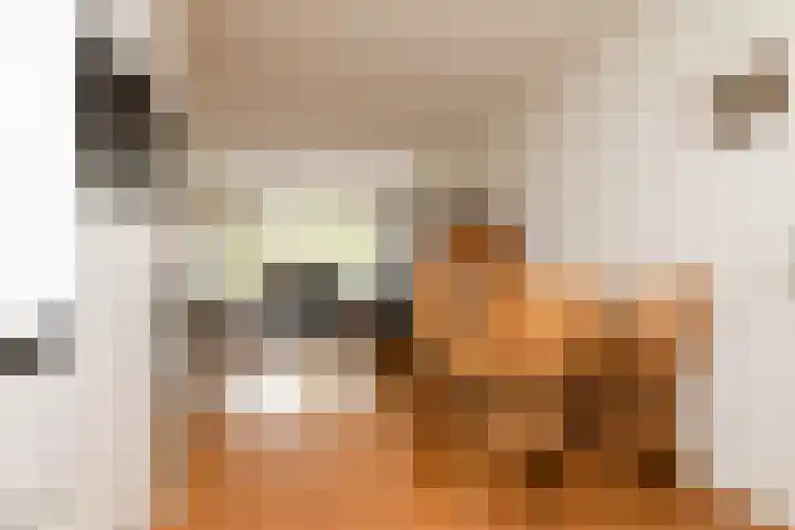 Eekmolen 31 Sneek thumbnail 11