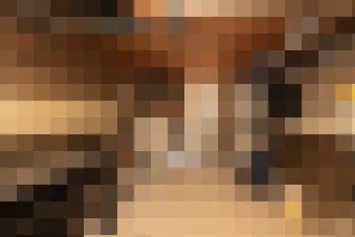 Eekmolen 31 Sneek thumbnail 15