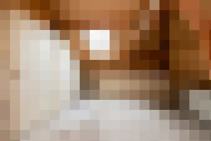Eekmolen 31 Sneek thumbnail 27