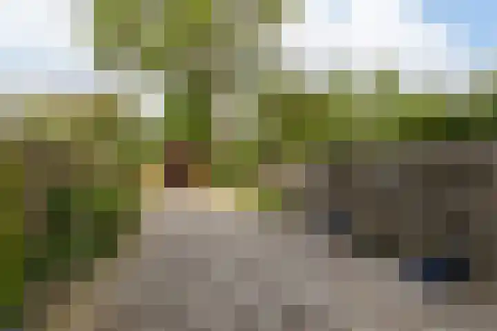 Eekmolen 31 Sneek thumbnail 28
