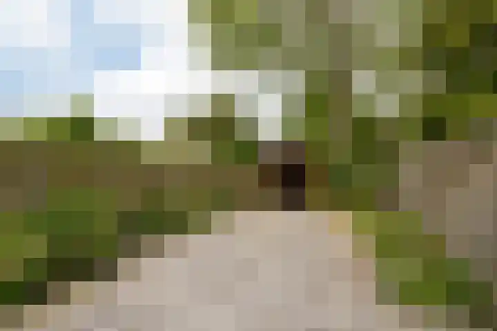 Eekmolen 31 Sneek thumbnail 29