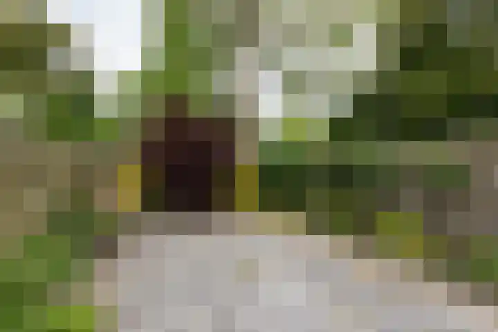 Eekmolen 31 Sneek thumbnail 30