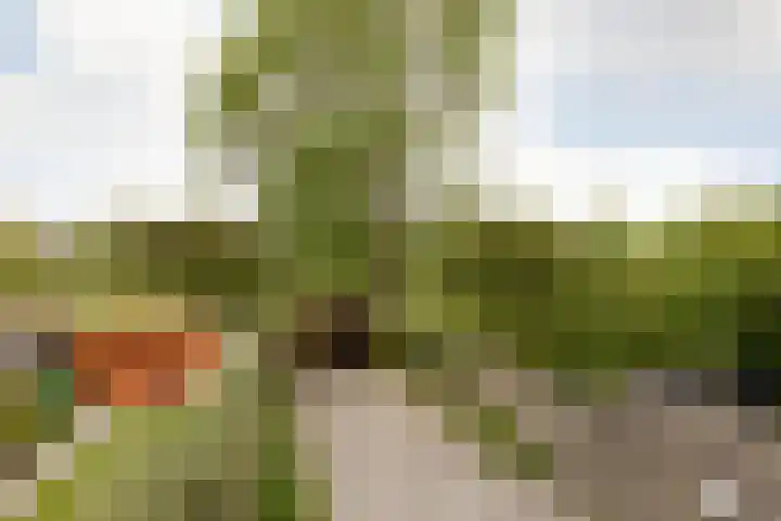 Eekmolen 31 Sneek thumbnail 31