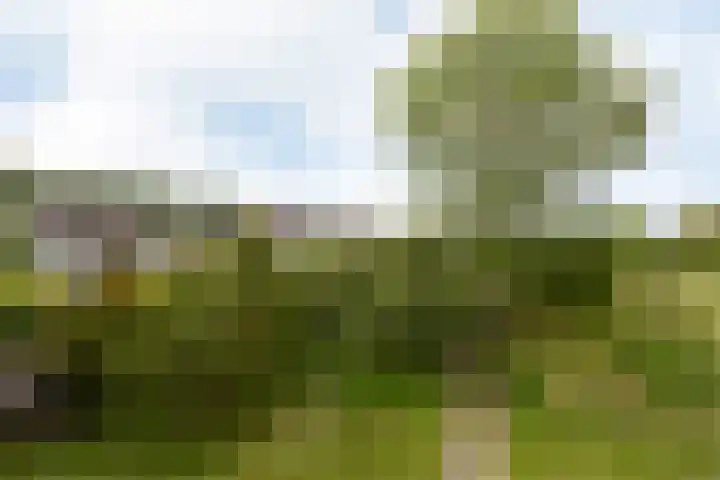 Eekmolen 31 Sneek thumbnail 32