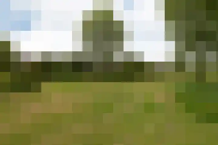 Eekmolen 31 Sneek thumbnail 33