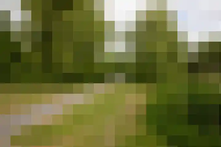 Eekmolen 31 Sneek thumbnail 34