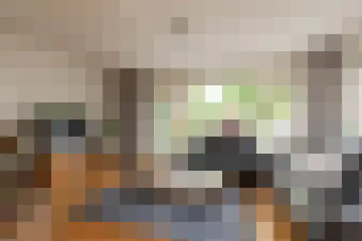 Eekmolen 31 Sneek thumbnail 4