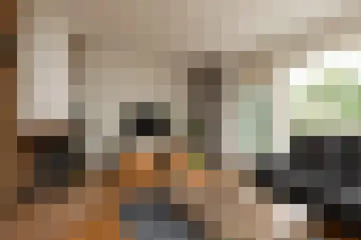 Eekmolen 31 Sneek thumbnail 5