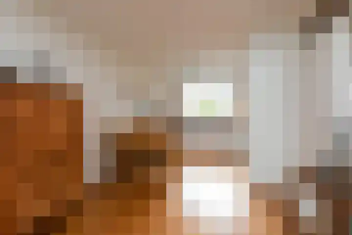 Eekmolen 31 Sneek thumbnail 8