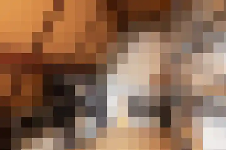 Eekmolen 5 Sneek thumbnail 28
