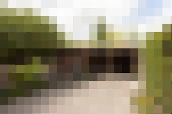 Eekmolen 5 Sneek thumbnail 31