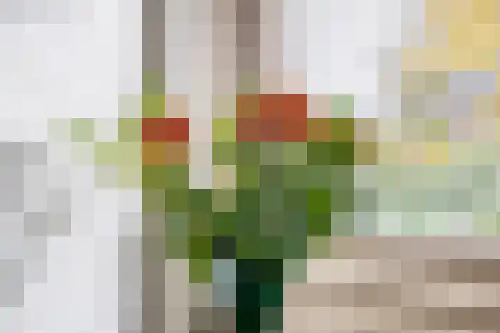 Eekmolenweg 13 Wageningen thumbnail 23