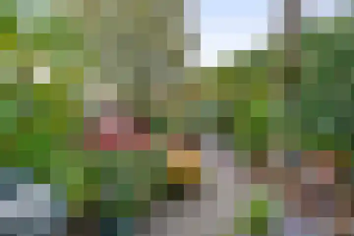 Eekmolenweg 13 Wageningen thumbnail 34