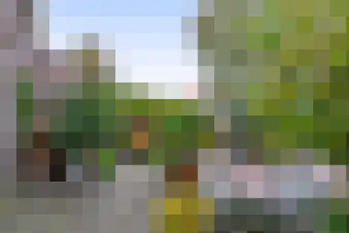 Eekmolenweg 13 Wageningen thumbnail 36