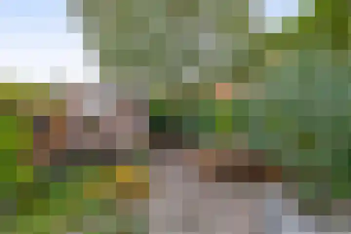 Eekmolenweg 13 Wageningen thumbnail 37