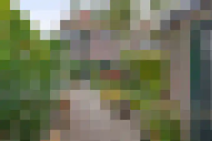 Eekmolenweg 13 Wageningen thumbnail 38