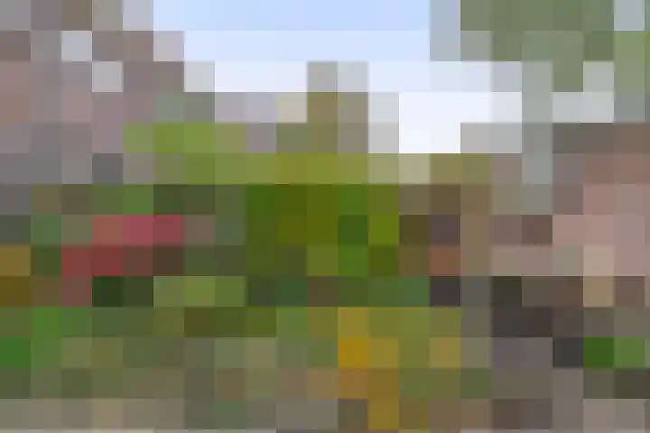 Eekmolenweg 13 Wageningen thumbnail 39