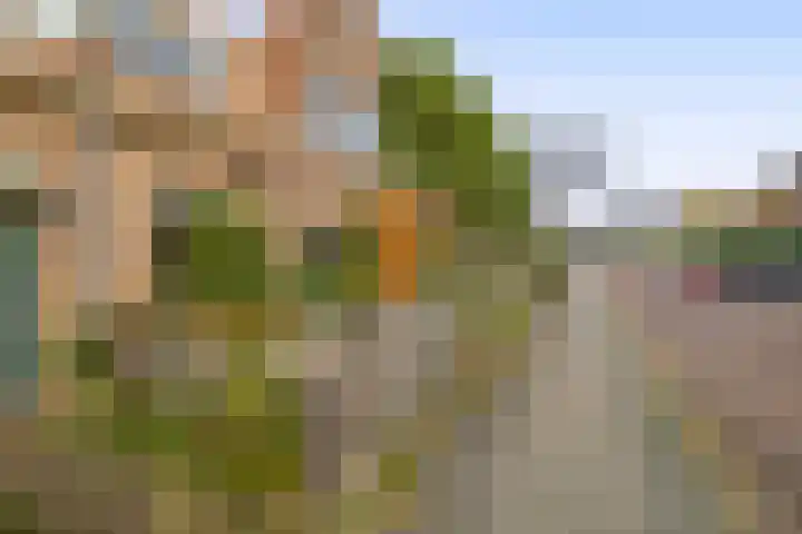 Eekmolenweg 13 Wageningen thumbnail 4