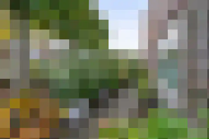 Eekmolenweg 13 Wageningen thumbnail 41