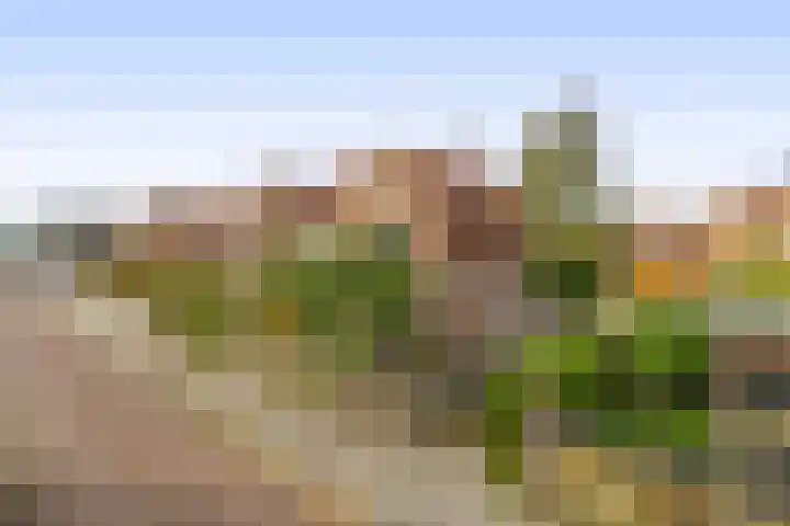 Eekmolenweg 13 Wageningen thumbnail 5