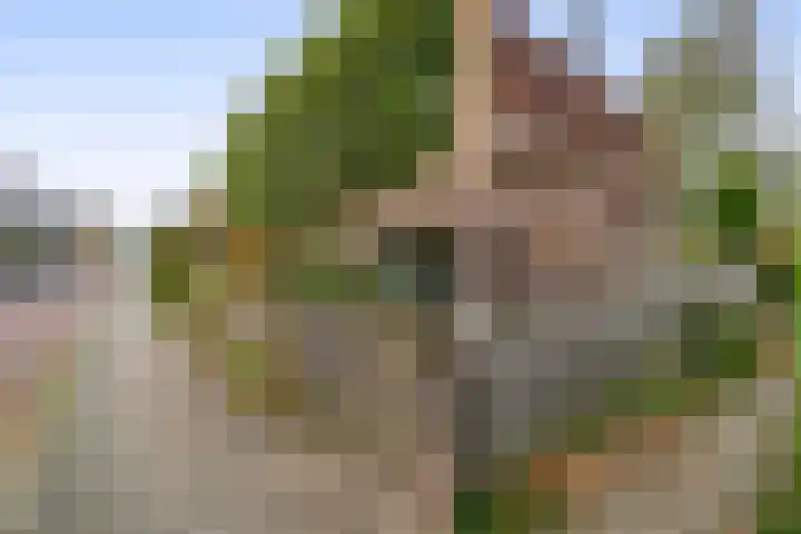 Eekmolenweg 13 Wageningen thumbnail 7