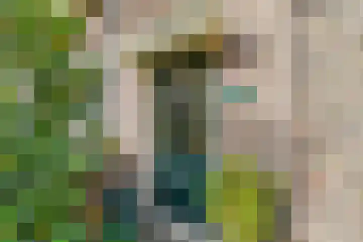 Eekmolenweg 13 Wageningen thumbnail 8