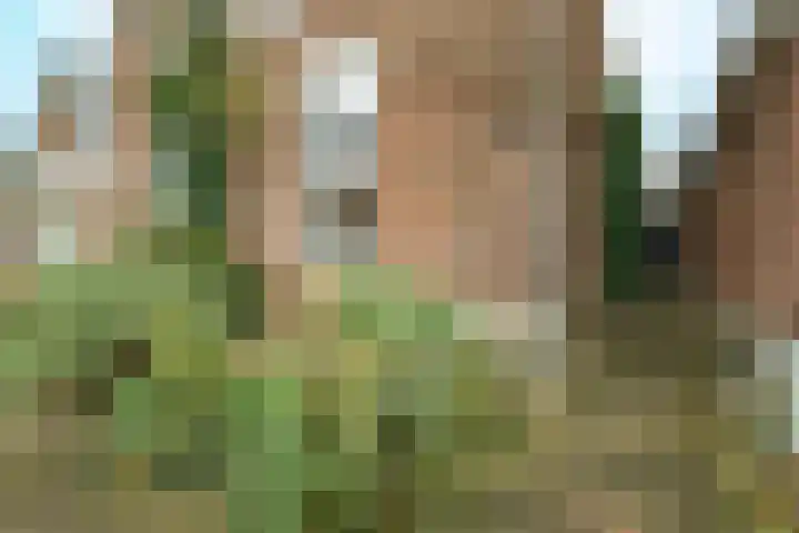 Eekmolenweg 20 Wageningen thumbnail 4