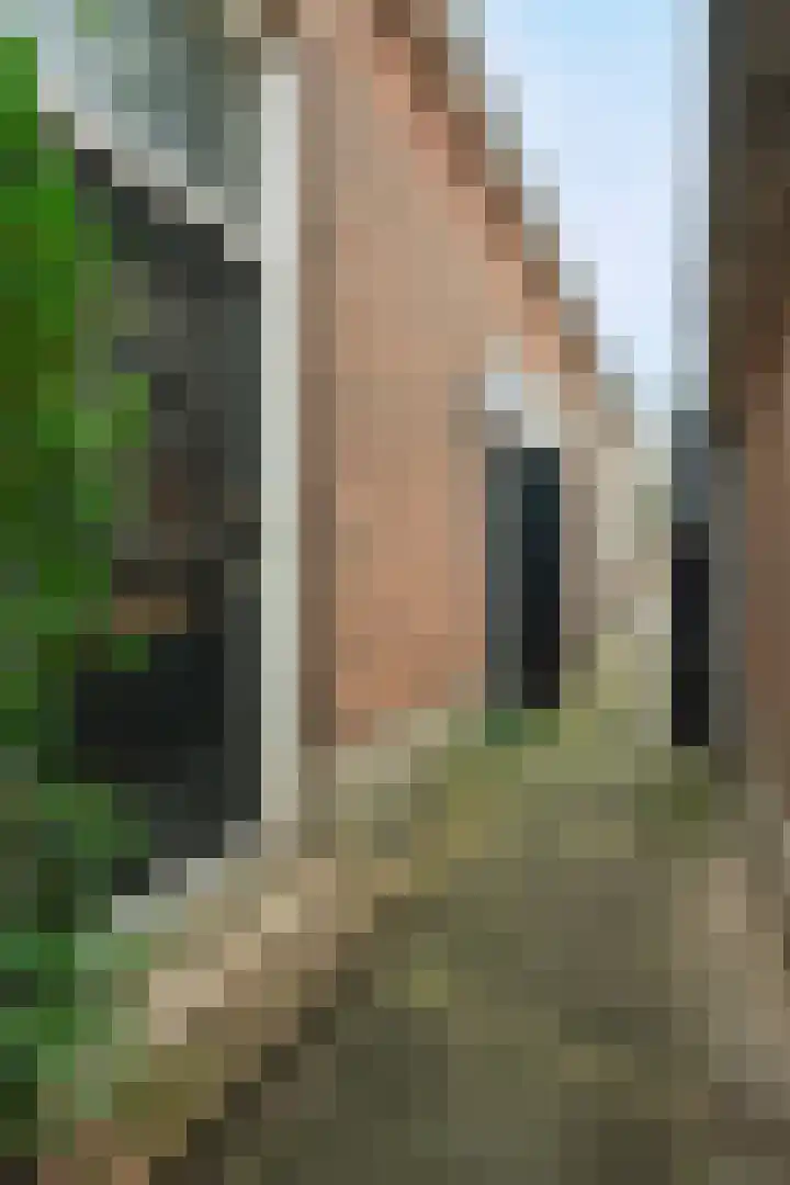 Eekmolenweg 20 Wageningen thumbnail 5