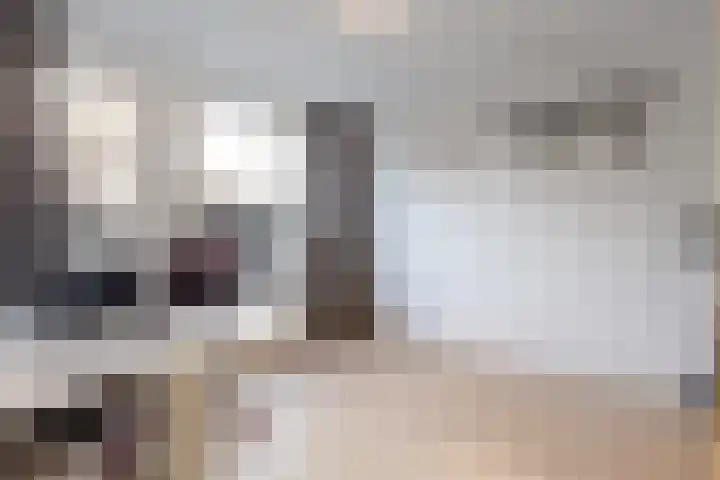 Eekschillersdreef 101 Apeldoorn thumbnail 14