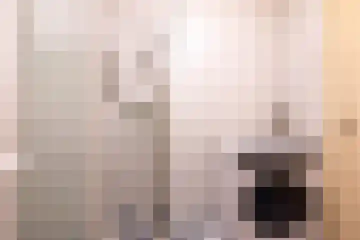 Eekschillersdreef 402 Apeldoorn thumbnail 10