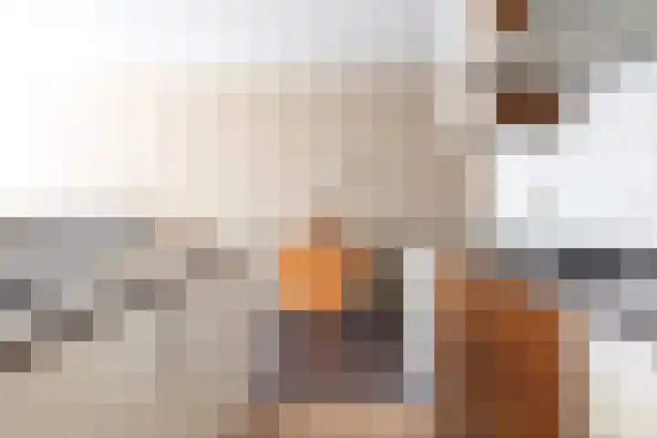 Eekschillersdreef 402 Apeldoorn thumbnail 16