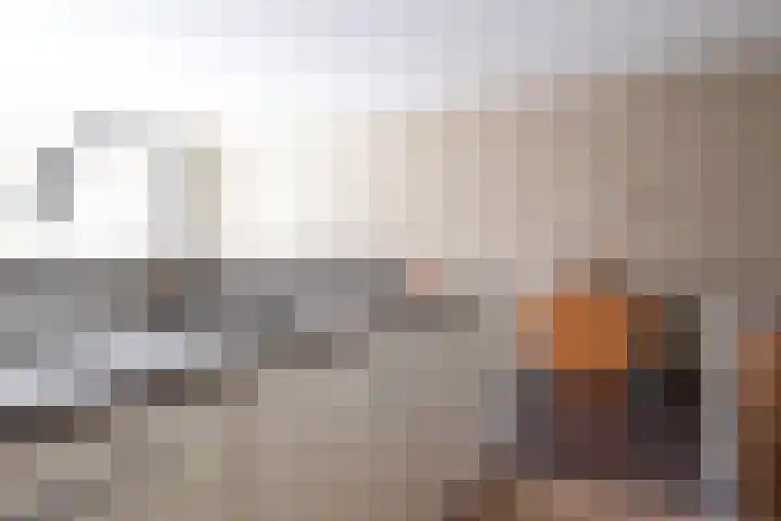 Eekschillersdreef 402 Apeldoorn thumbnail 17