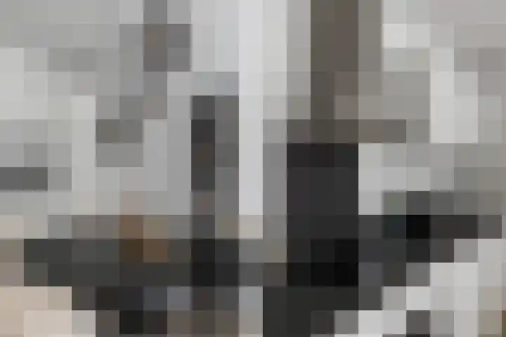 Eekschillersdreef 410 Apeldoorn thumbnail 11