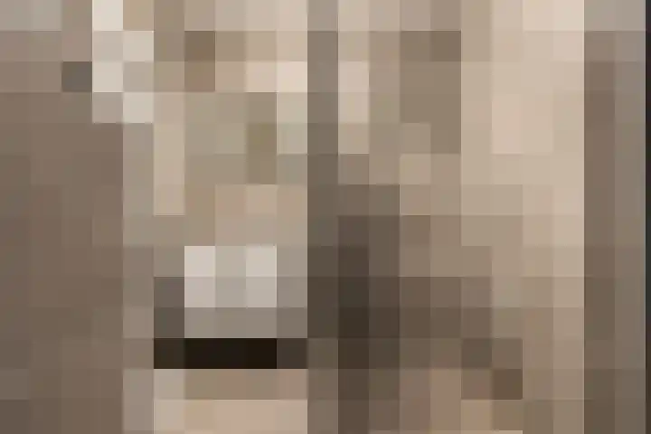Eekschillersdreef 410 Apeldoorn thumbnail 19